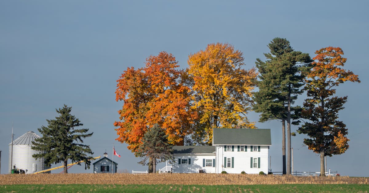 Scenery representing Indiana