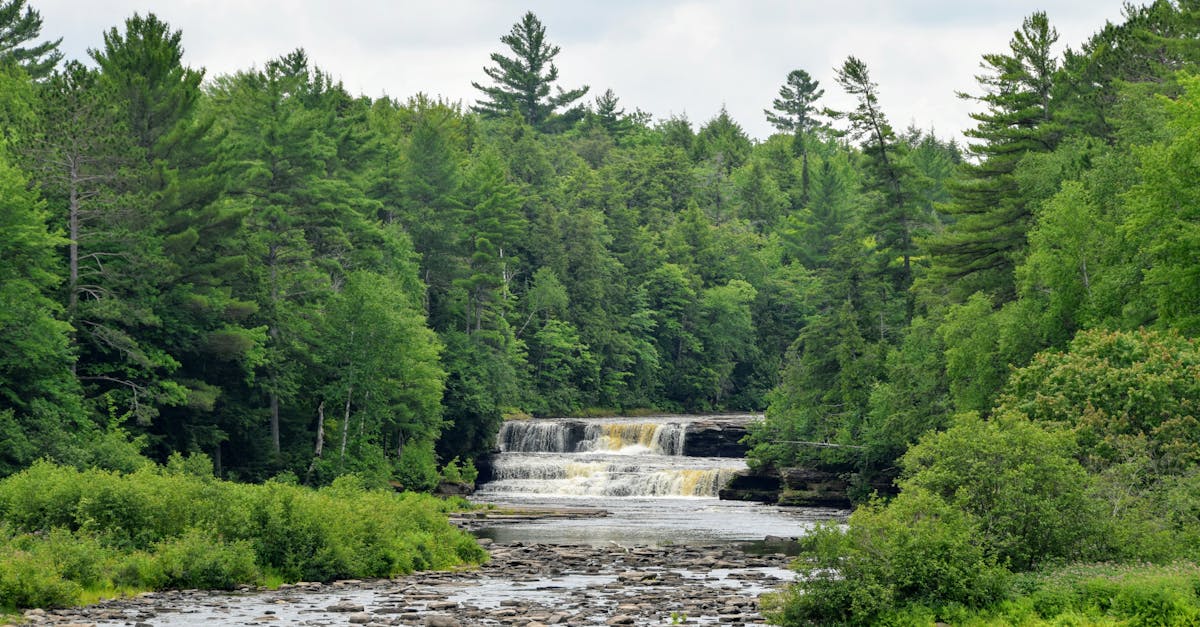 Scenery representing Michigan